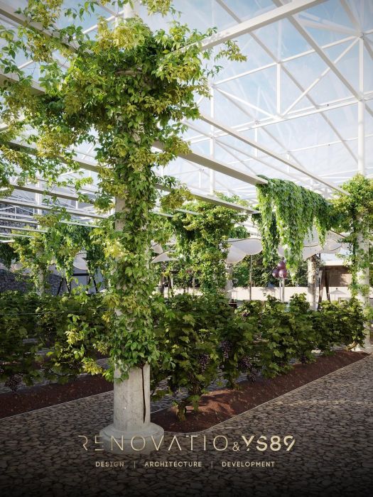 Дизайн Проекты - Рестораны И Кафе - Виноградник 500 Кв.м. - Фото  18